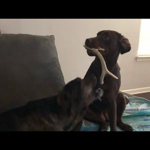 Meet your Posher, Sharon